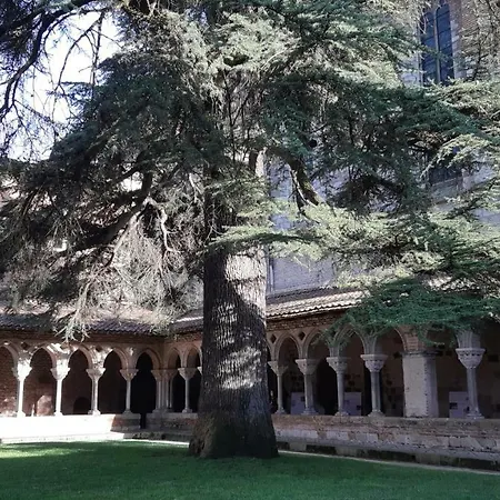 Fleur D'ylang * Moissac