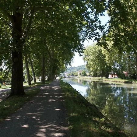 Fleur D'ylang Moissac