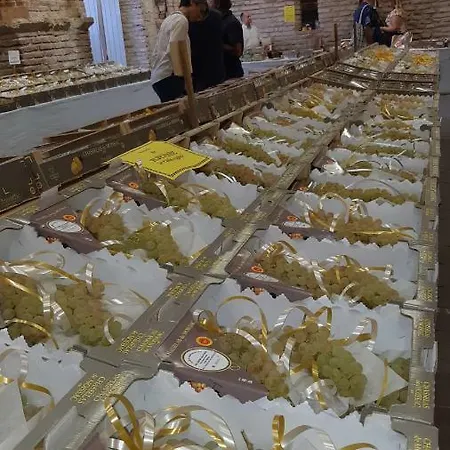 Fleur D'ylang Daire Moissac