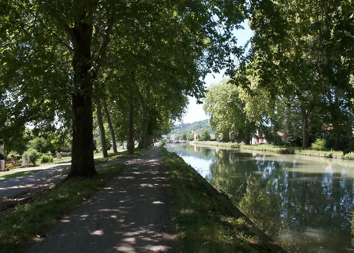 Fleur D'ylang Moissac